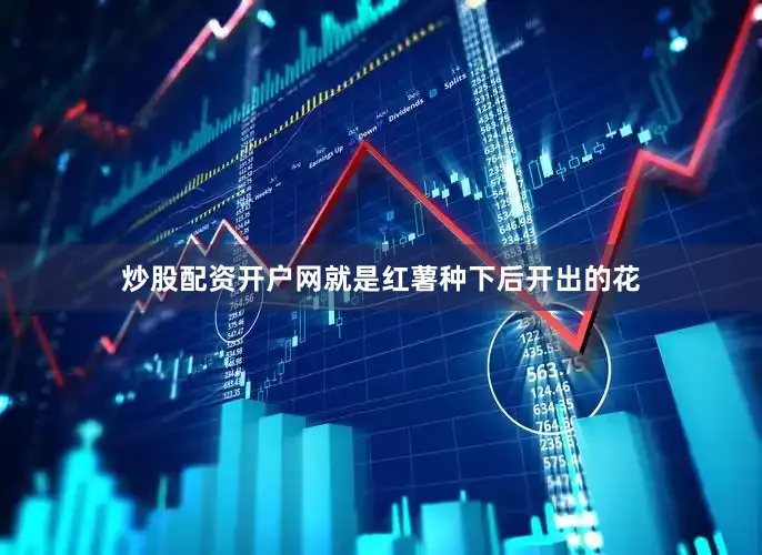 炒股配资开户网就是红薯种下后开出的花