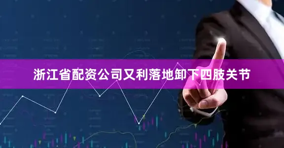 浙江省配资公司又利落地卸下四肢关节