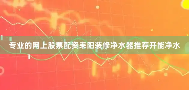 专业的网上股票配资耒阳装修净水器推荐开能净水
